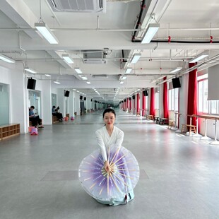 朝鲜族舞蹈扇子韩国舞蹈扇子跳舞扇子透明纱扇子烫金扇子