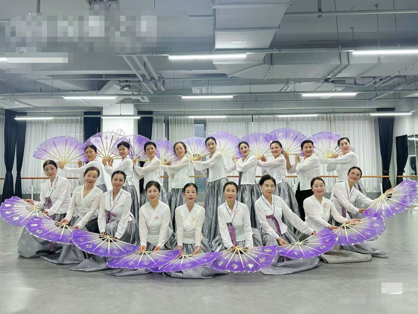 新款朝鲜族舞蹈扇子纱扇子韩国舞蹈扇子学院派鲜族舞扇考级烫金花