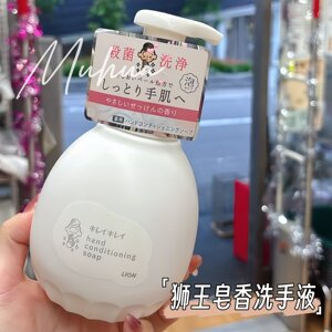 日本本土KireiKirei泡沫洗手液