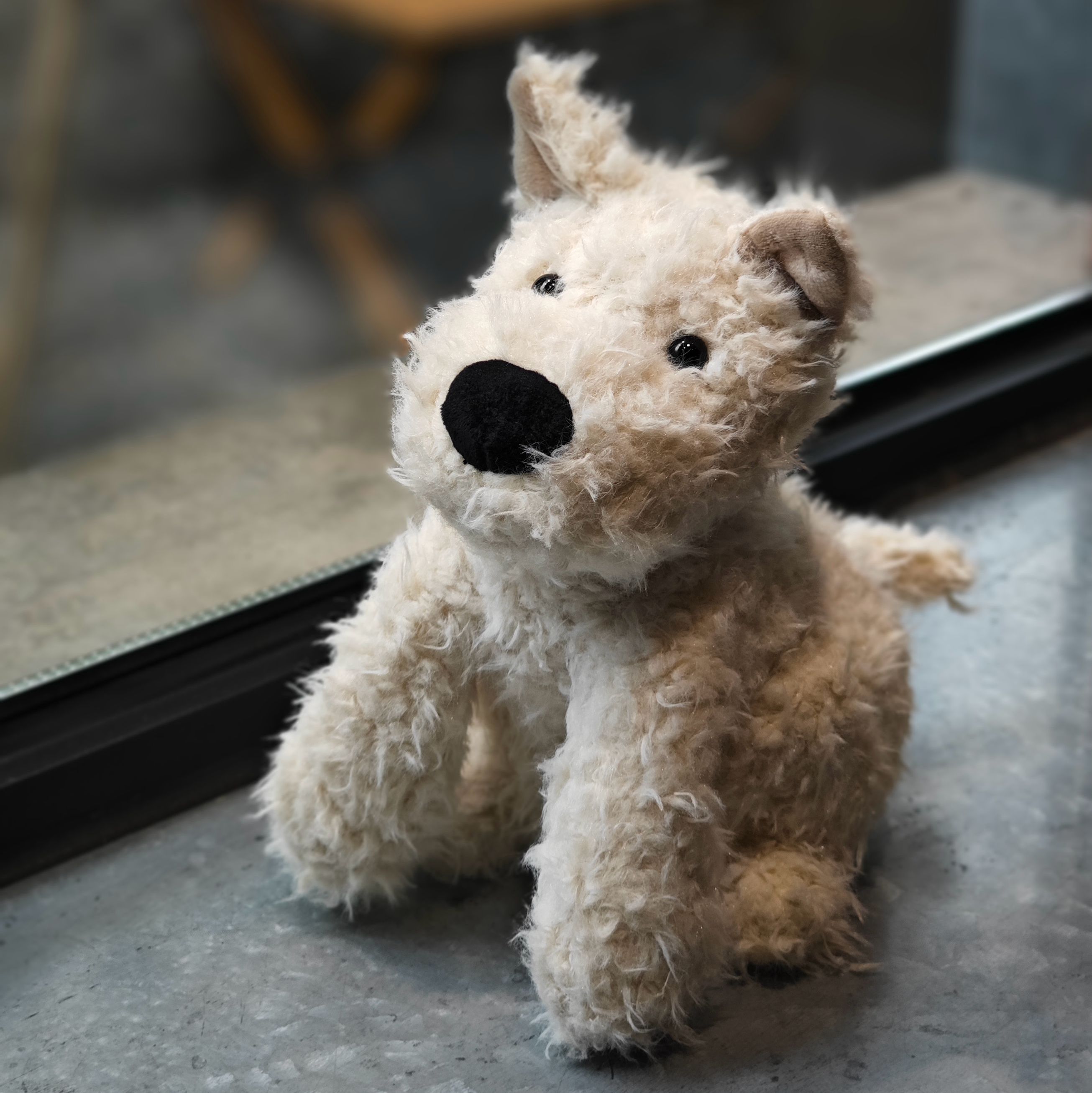 门罗苏格兰梗西高地狗狗