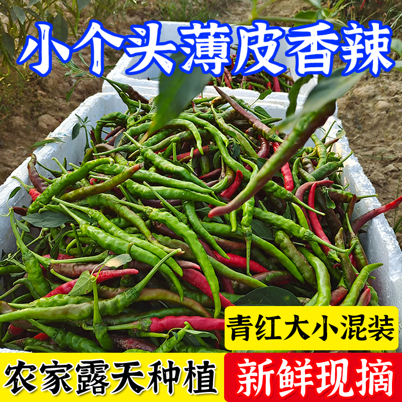 湖南薄皮青红小辣椒混装特辣
