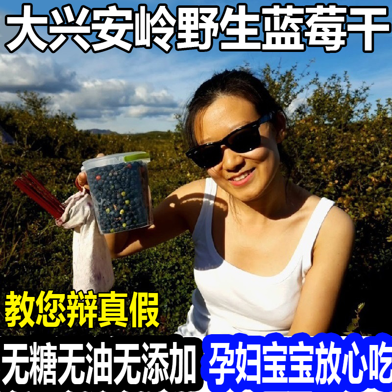 东北大兴安岭蓝莓干野生无添加特级蓝梅果干孕妇500g/袋孕妇