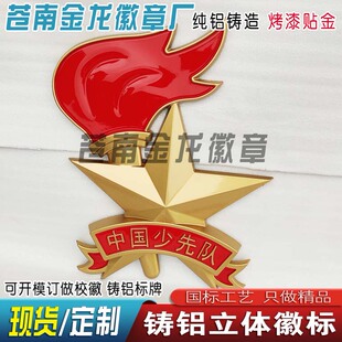 中国少年先锋队徽章定制挂徽室外大号版标准共青团徽共青团员会议
