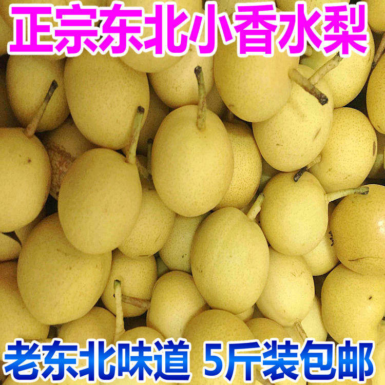 香水梨正宗小香水梨薄皮多汁比南梨
