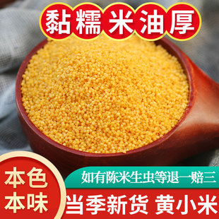 黄小米散装新米粥月子香黏稠甘肃会宁农家5斤小黄米食用五谷杂粮