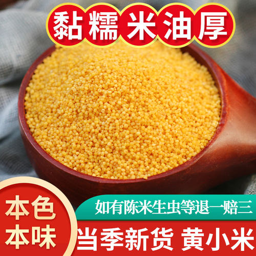 黄小米当季新米粥月子甘肃会宁