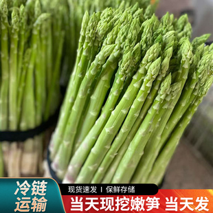 嫩绿青芦笋去老根 芦笋新鲜现采笋尖农家现挖5斤农家新鲜蔬菜当季