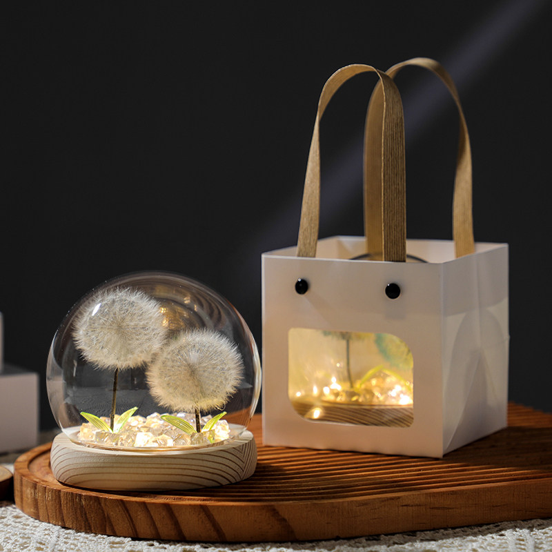 夜灯永生干花蒲公英标本玻璃罩送女生老师女同学桌面摆件生日礼物,鲜花速递/花卉仿真/绿植园艺,永生花,淘宝优惠券,粉丝福利购,淘宝优惠卷