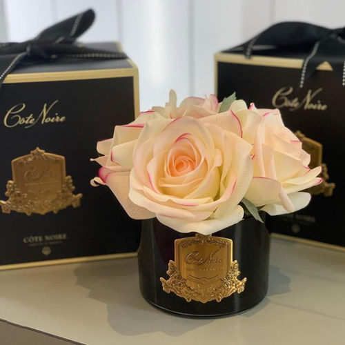 法国进口Cote Noire手工精油香氛永生花无火香薰家居摆件节日礼物