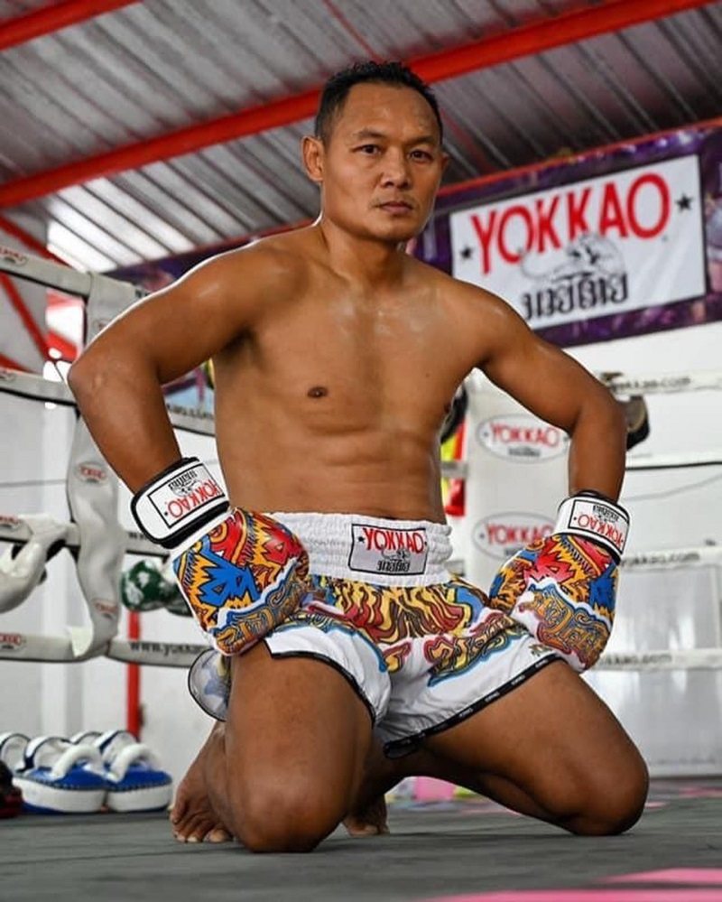 YOKKAO泰拳虎纹短裤清仓