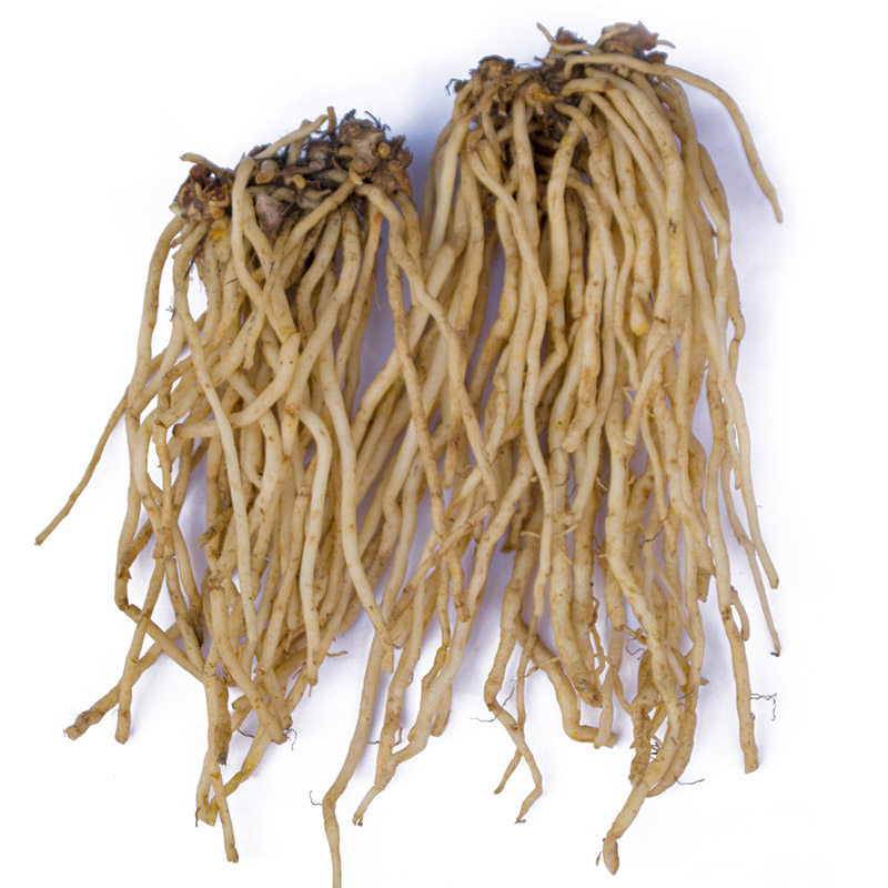 贵州地产新鲜竹叶参百尾笋万寿淡竹草宝铎草竹林消根500g包邮