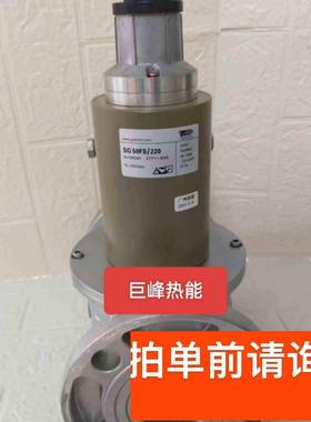 议价SG50RS220施能慢开电磁阀SG50FS220