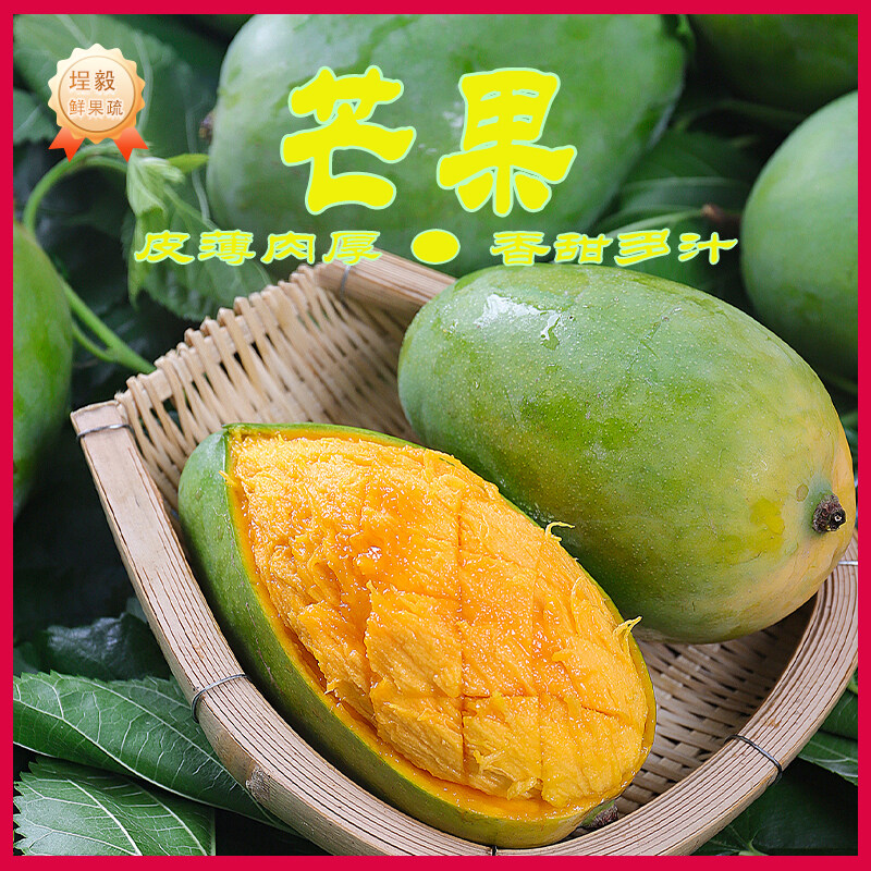 枝花凯特芒果当季新鲜农产品