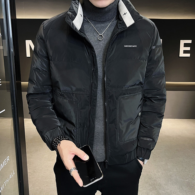 2024冬季男士立领羽绒服个性短款白鸭绒男外套2YR608-P145控195,男装羽绒服,电商A400-1（原B352）