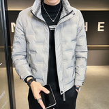 2024冬季男士立领压花羽绒服短款白鸭绒男外套3YR601-P145控195，男装羽绒服，电商A400-1（原B352）