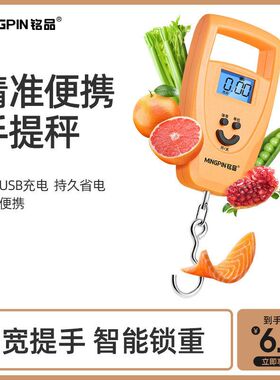 利器弹簧秤家用便携手提吊钩铭品