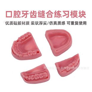 医包邮 缝针模型模型学生用品手术 练习缝合 模块口腔牙科训练