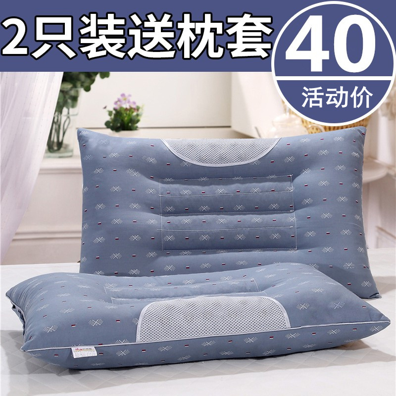 一对装送枕套】磁疗决明子枕芯枕头 薰衣草荞麦助眠护颈椎单人枕