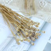 虞美人真花永生花干花植物标本车轮果干果文艺DIY材料包花束