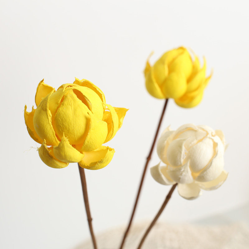 宝莲灯干花花束风荷手工禅意日式客厅家居装饰摆件插花拍摄道具