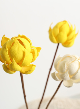 宝莲灯干花花束手工客厅装饰摆件