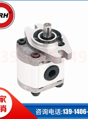 GRH齿轮泵2.5 1APF2.0L48P07 1DPF3.2/2.7D 3PF22L APM BPF油泵