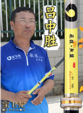 宝飞龙台钓竿宝飞龙鱼竿飞龙无双
