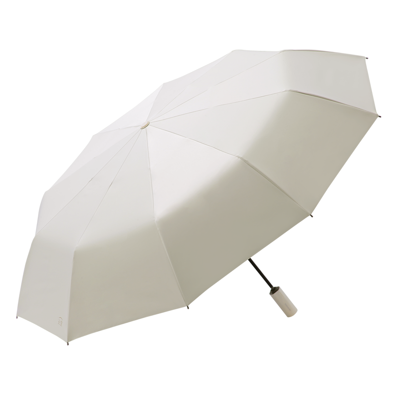 天堂伞全自动10骨双人加大号加厚加固防晒遮太阳伞晴雨伞女两用男