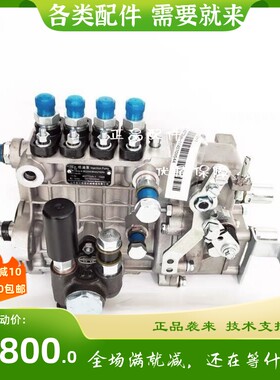 维柴道依茨柴油发动机B6AD548D1高压喷油泵总成南岳电控衡阳油泵