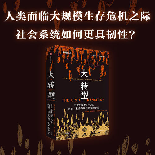 大转型布鲁斯MS坎贝尔中信出版