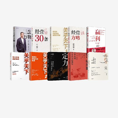 企业管理系列10册关明生