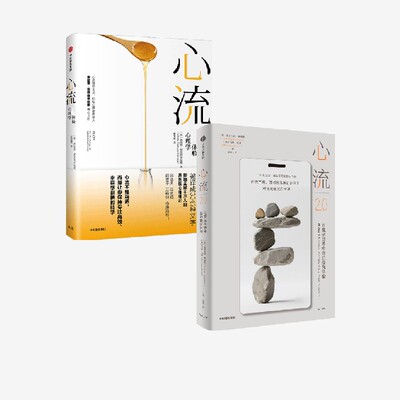 心流+心流2.0中信出版