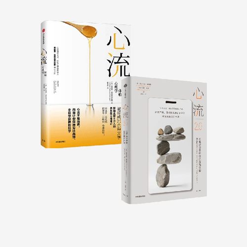 心流 最优体验心理学 心流2 0 在复杂世界中创造最优体验  官方正版 中信出版社