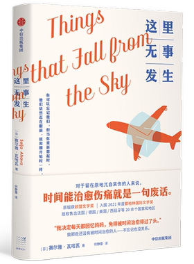 这里无事发生 赛尔雅瓦哈瓦 著 欧盟文学奖获奖作品 获 芬兰文学奖 提名 成长 治愈 中信出版社图书 正版