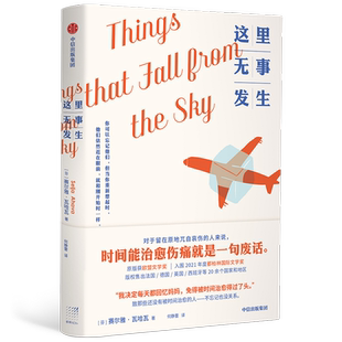 这里无事发生 赛尔雅瓦哈瓦 著 欧盟文学奖获奖作品 获 芬兰文学奖 提名 成长 治愈 中信出版社图书 正版