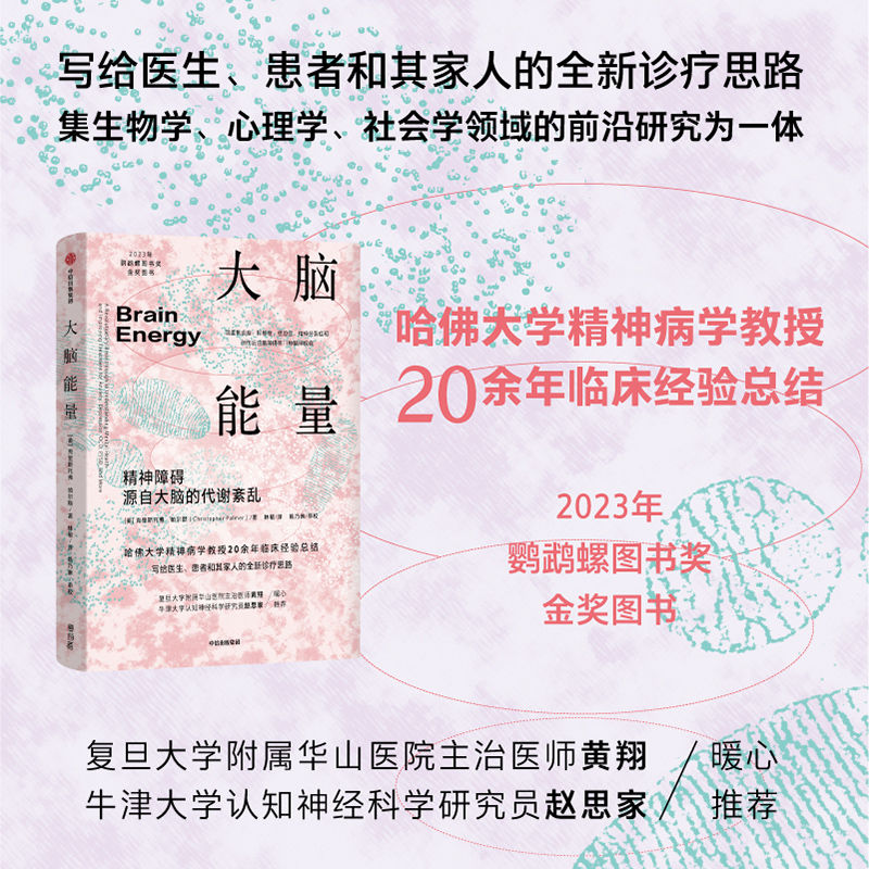 大脑能量克里斯托弗·帕尔默