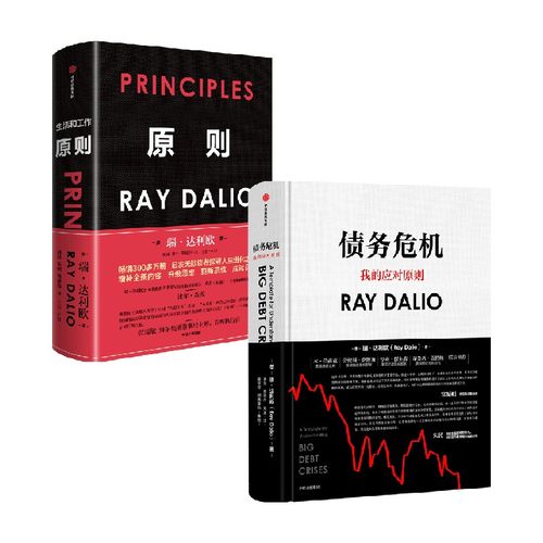 原则+债务危机中信出版