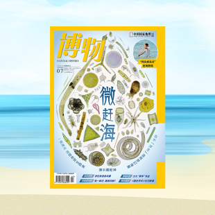 打开另一个维度 博物 在显微镜下 海南三亚海水微观察 海洋世界 2025第7期