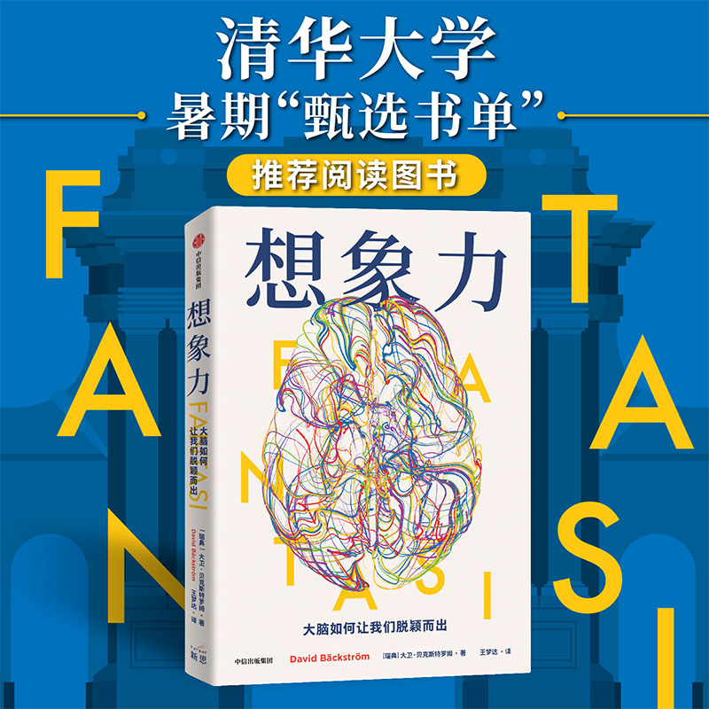 想象力大卫贝克斯特罗姆中信出版