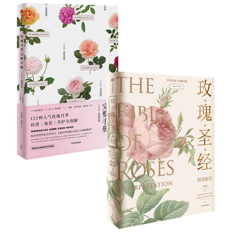 玫瑰圣经科普书中信出版