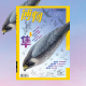 25年1 4月 博学成就梦想 博物系列杂志 推开自然之门 24年全年现货 知识改变人生 昭示人文精华 中国国家地理系列杂志