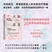 全新诊疗思路 克里斯托弗帕尔默著 中信出版 大脑能量 正版 写给医生患者和其家人 社图书 佛大学精神病学教授20余年临床经验