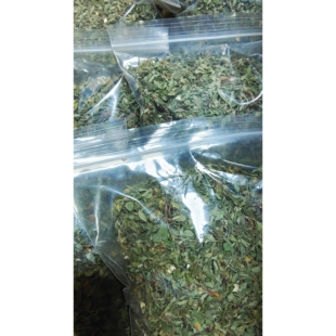 100g野生白毛银露梅中高海拔晾干生品秦岭太白山药王观音茶婆