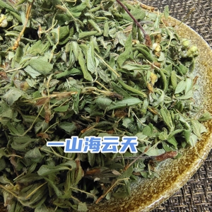 秦岭太白山野生白毛银露梅看销量看详情老用户买5发6高山药王道茶