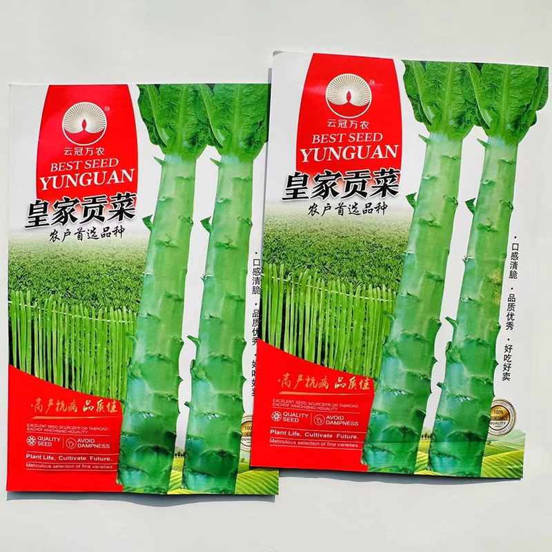 宫廷贡菜种子四季耐高温抗寒苔干菜种籽响菜山蛰菜特色蔬菜种孑
