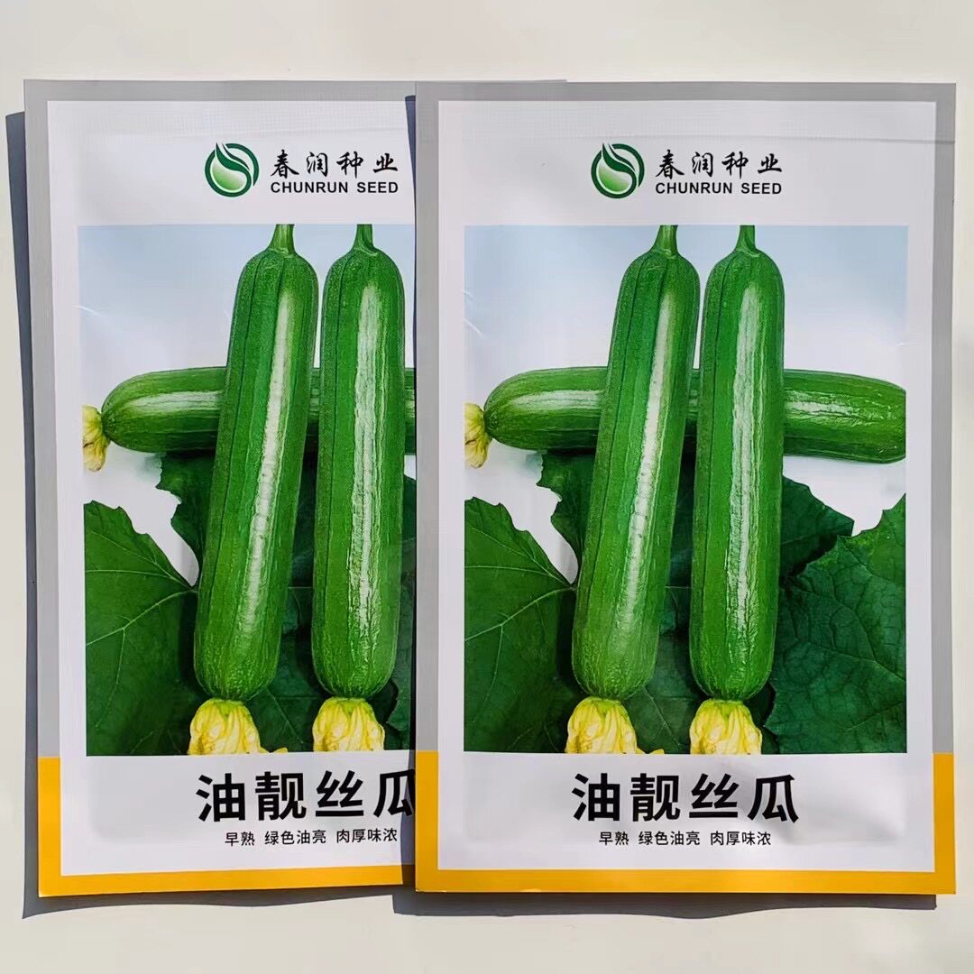 油靓丝瓜种子油皮丝瓜短棒油亮丝瓜种籽肉厚味浓一代杂交丝瓜种子