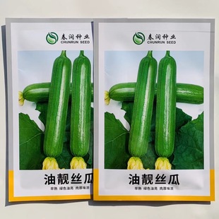 油靓丝瓜种子油皮丝瓜短棒油亮丝瓜种籽肉厚味浓一代杂交丝瓜种子