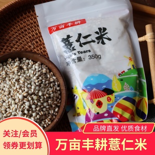 万亩丰耕薏仁米糯香薏米煮粥煲汤泡水优质食材