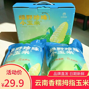 云养尚品绿野珍珠小玉米手指拇指糯迷你袖珍西双版纳傣族白糯玉米