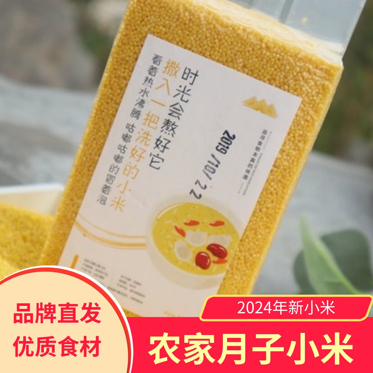 山东沂蒙山黄小米真空包装5斤 农家特产无添加宝宝月子米新米